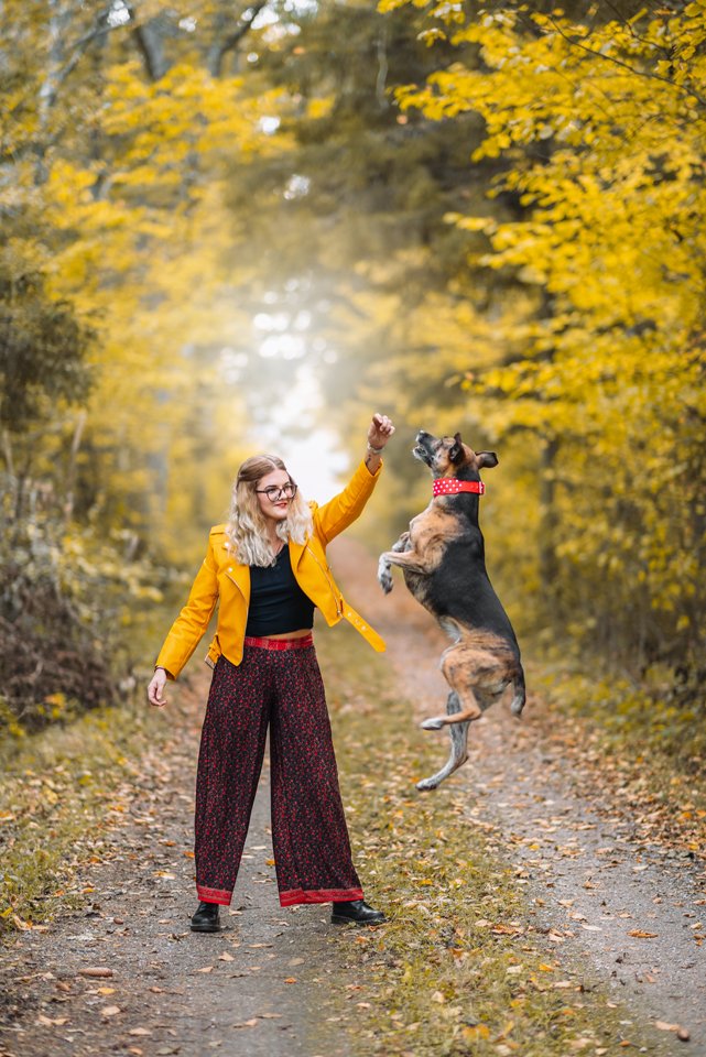Woman in yellow jacket playing with her jumping dog in golden autumn leaves.