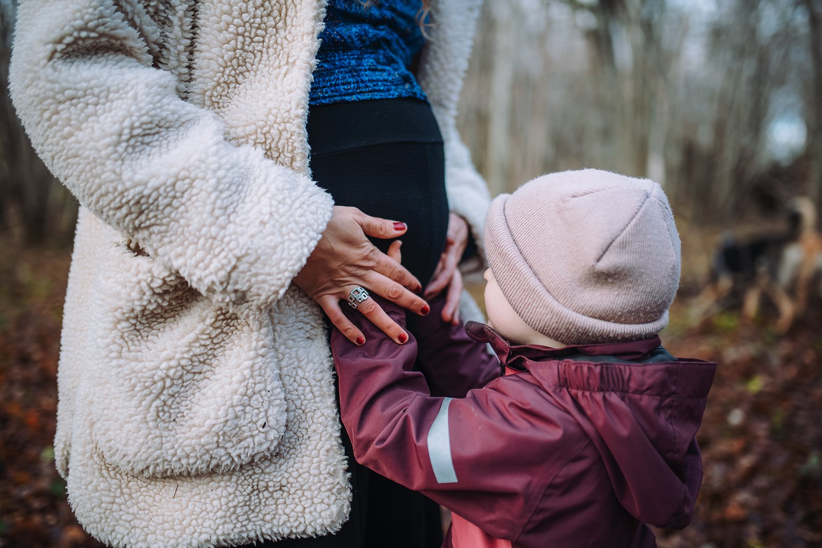 arn lägger handen på mammas gravida mage i skogen, close up