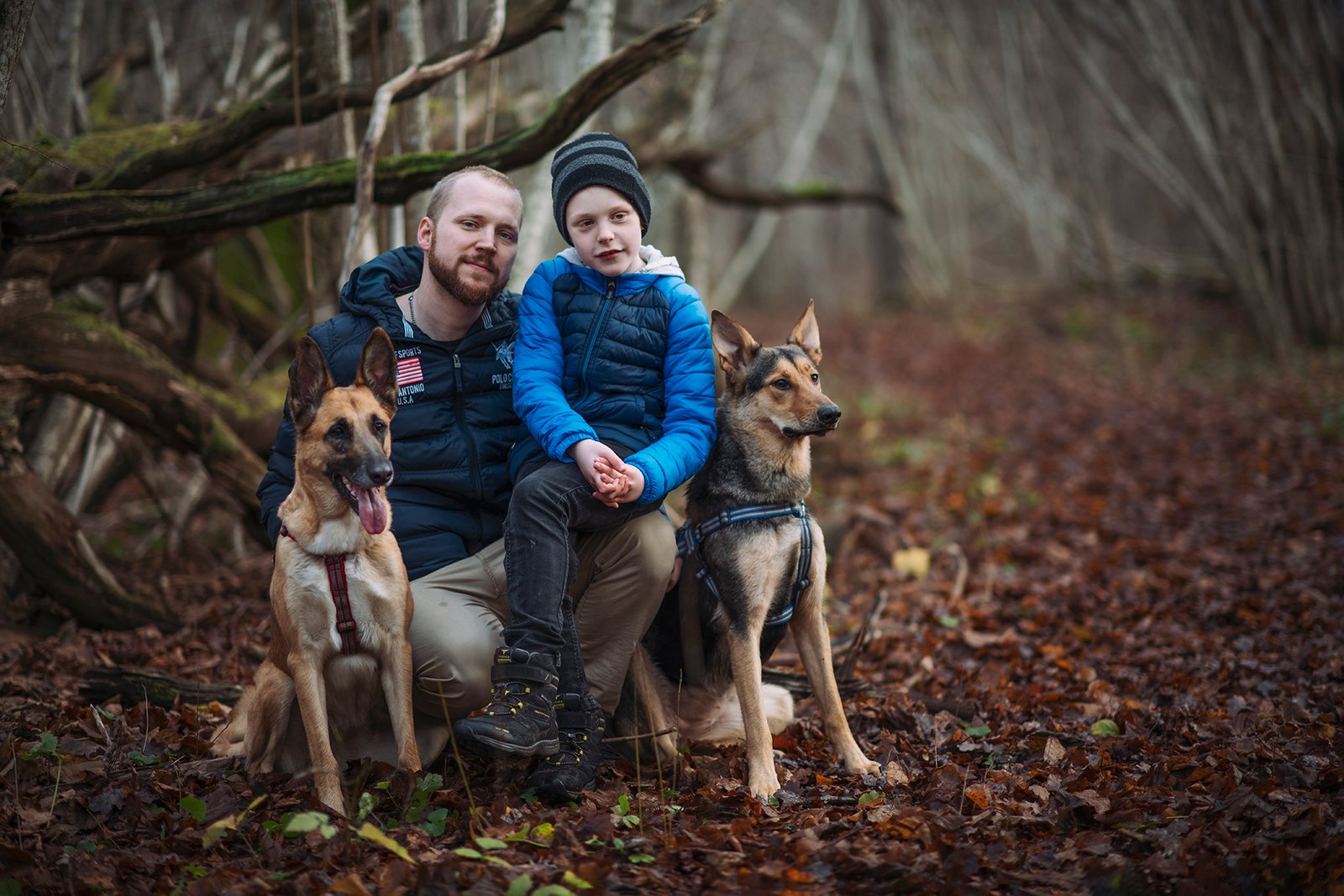 Pappa sitter med son och hundar på en stock i skogen