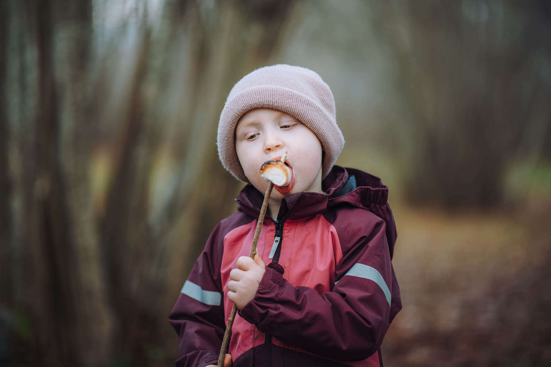 Barn som tar en tugga av en rostad marshmallow under en höstutflykt i skogen.