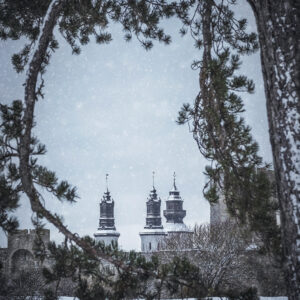 Visby domkyrka Sankta Maria inramad av träd under snöfall