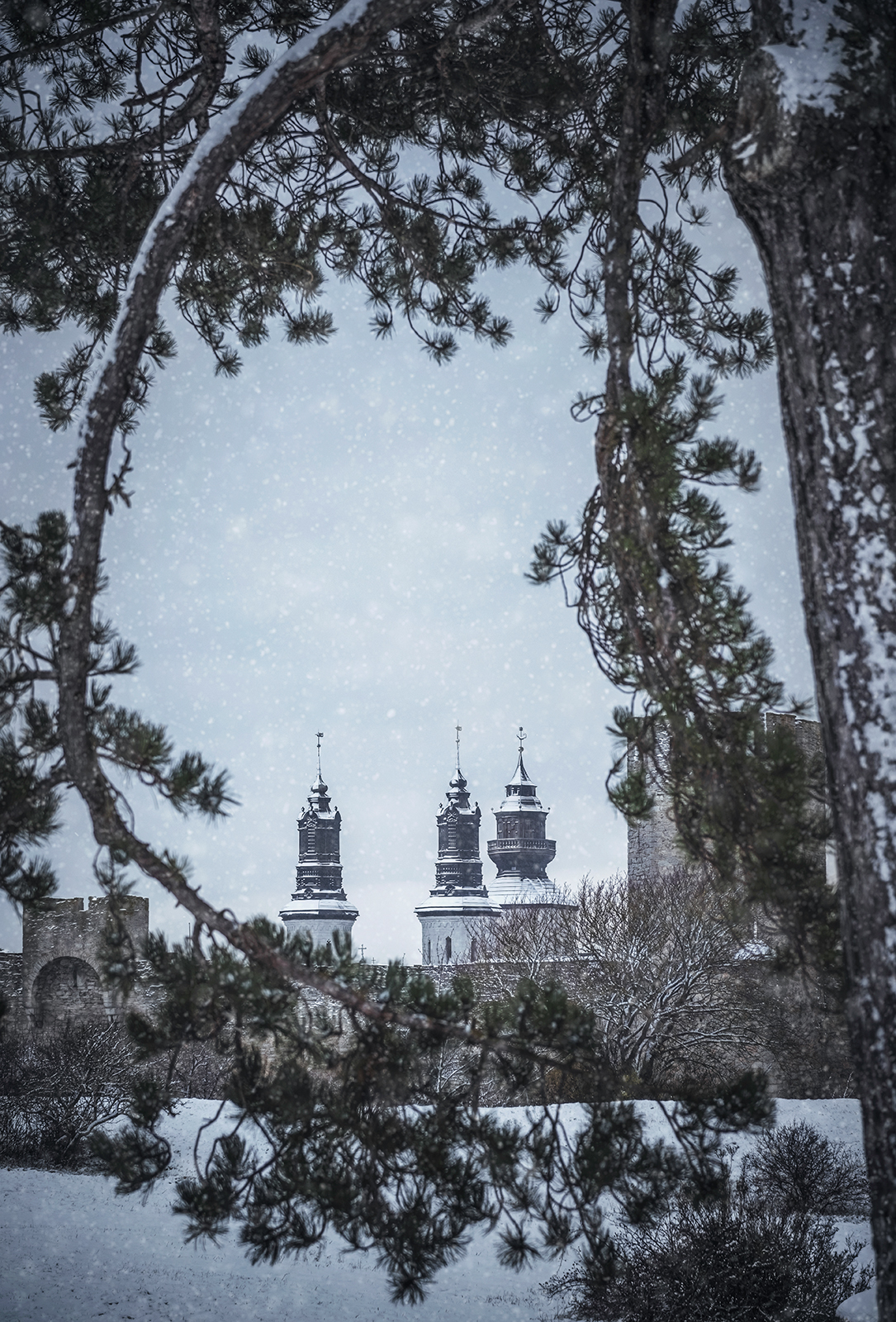 Visby domkyrka Sankta Maria inramad av träd under snöfall