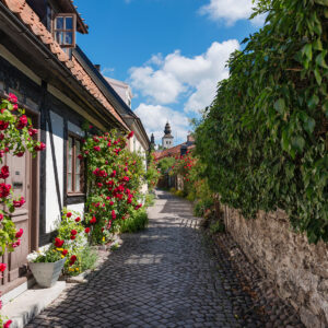 Somrig gränd i Visby med rosor längs husfasader - Fiskargränd, Gotland