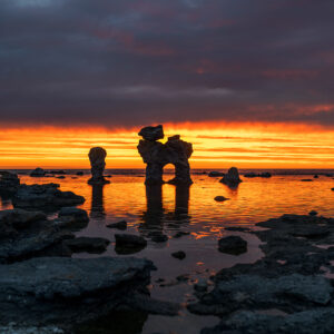 Rauken Hunden vid Gamla Hamn på Fårö i varmt sensommarljus vid havet