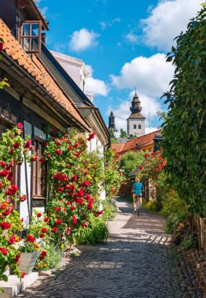 Somrig gränd i Visby med rosor längs husfasader - Fiskargränd, Gotland