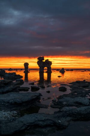 Rauken Hunden vid Gamla Hamn på Fårö i varmt sensommarljus vid havet